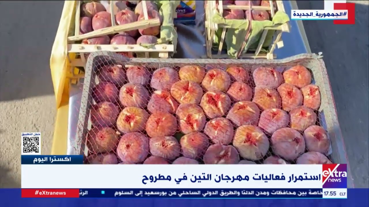 إكسترا اليوم| استمرار فعاليات مهرجان التين في مطروح