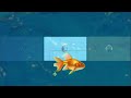 hamburber drowns in the ocean