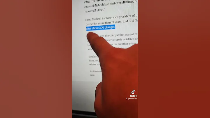 The Real Reason South West Airlines Canceled the Flights #southwest #travel #airline