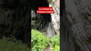 La Intrare La Pestera Ursilor