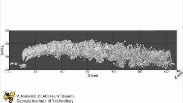Single rosset dense discharge in flowing water, 3DLIF results by Ozeair Abessi and Philip Roberts