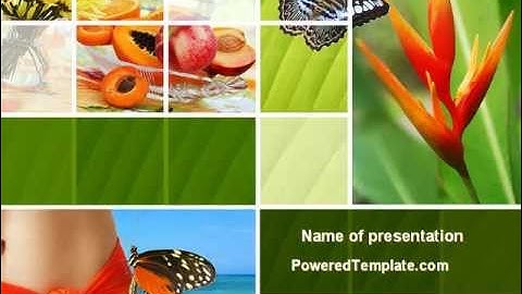 Exotic Island Vacation PowerPoint Template by PoweredTemplate.com