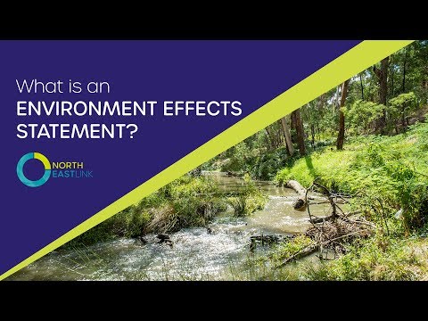 Video: Kas yra sinergizmas aplinkos moksle?