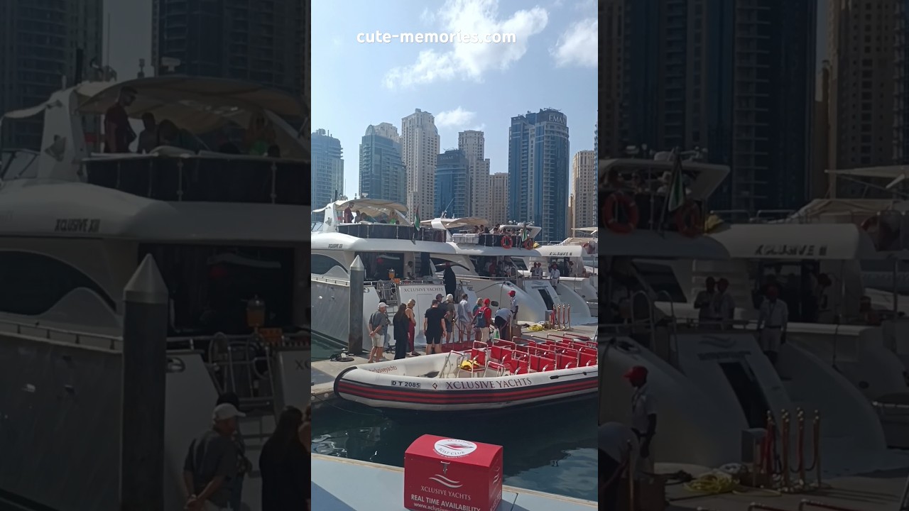 Luxurious yacht ⛵ port at Dubai Marina | #dubaiyacht #dubaimarinacruise #dubaimarina