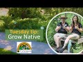 Grow native how to grow a native plant garden