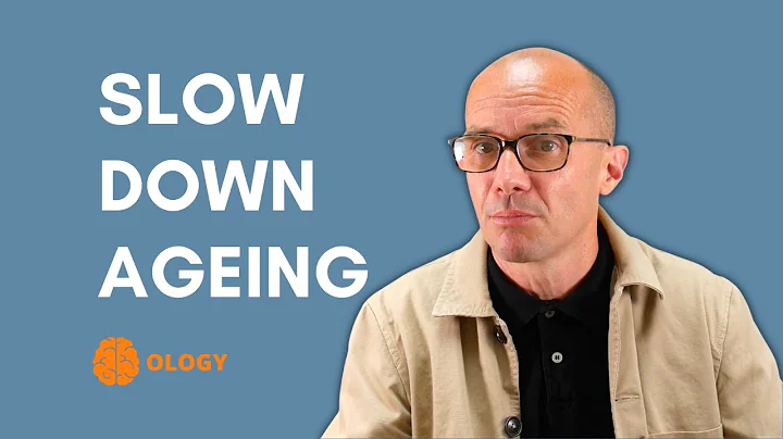 How to slow down ageing and live longer