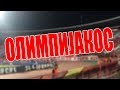 Delije | Crvena zvezda - Olympiacos 3:1, 01.10.2019.