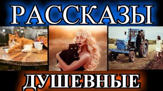 ДУШЕВНЫЕ РАССКАЗЫ❤️МОЙ МУЖИК❤️МАТЬ И МАЧЕХА❤️ХОЗЯЙКА МАРКУСА❤️ВОЛШЕБНЫЕ БОТИНКИ@TEFI РАССКАЗЫ