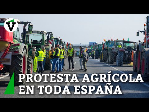 Agricultores protestan en Villarejo de Salvanés: "Bruselas nos hace la vida imposible"