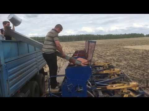 Сеем пшеницу. Работа
