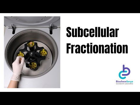 Subcellular Fractionation / Cell Fractionation - Biochemistry