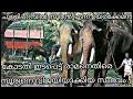 The elephant who went to court against rama  surya in chulliparam  chulliparambil sooryan and ramachandran and suryan