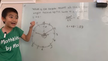 What is the degree measure of the smaller angle formed by the hands of a clock at 2:48?