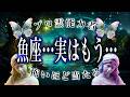 【5月21日までに見て】魚座の5月後半がちょっとヤバいかも…運勢が衝撃すぎる。