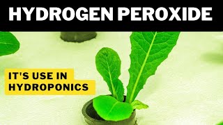 Hydrogen Peroxide Uses In Hydroponics