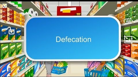 defecation reflex pathway #animated #animation