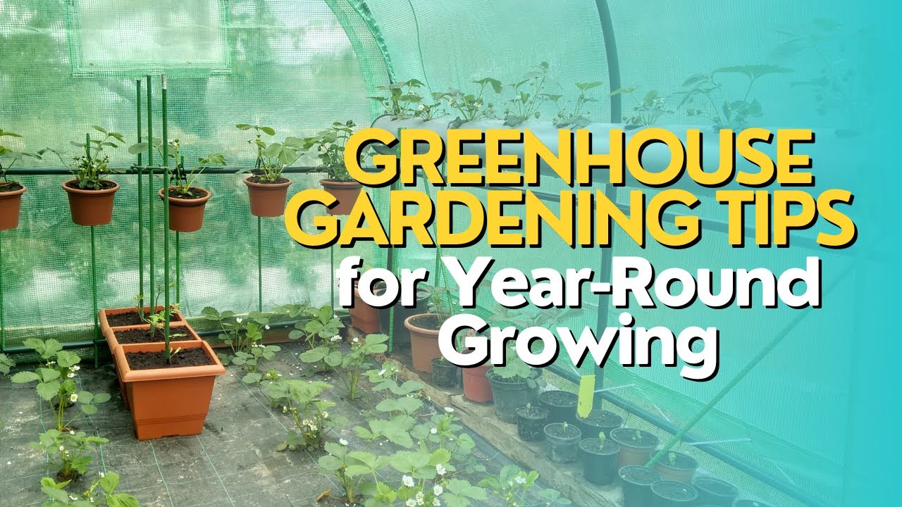 Greenhouse Gardening: Tips for Year-Round Growing
