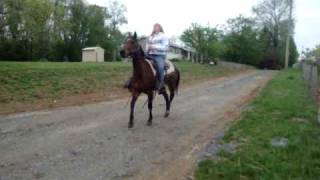 Download Lagu MOV06828 MP3