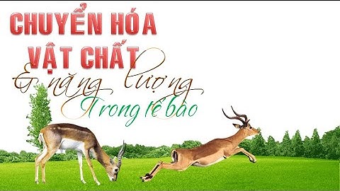 Chương 1 chuyển hóa vật chất và năng lượng năm 2024