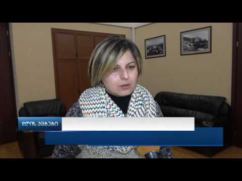 2017 წლის ბიუჯეტის პროექტი ენჯეო სექტორის სფეროში მოღვაწეებს წარუდგინეს