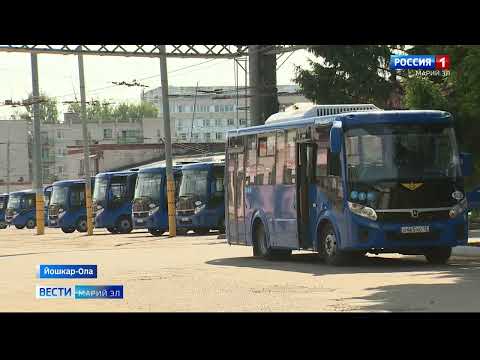 Новый автобусный маршрут №7-П запустят в Йошкар-Оле с 10 июля