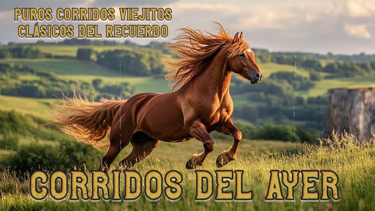 Los Mejores Corridos Viejitos 🎶 Norteño Clásico | Mix del Recuerdo