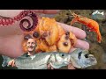 أنواع الطعم مثالية لصيد سمك وشرح أسماك مستهدفة✔✔
