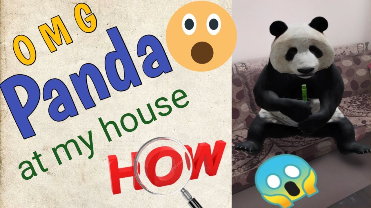 Google 3d animal AR anviscorner howtoseeanimalsin3D