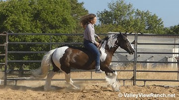 Ashling - bareback walk, jog, lope, stops! - ValleyViewRanch.net