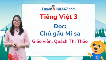 Đọc: Chú gấu Mi sa - Tiếng Việt 3 (Cánh diều) - Cô Quách Thị Thảo