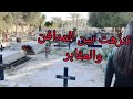 نزهة غريبة بين المقابر توعية نفسية وعقلية 