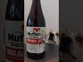 Дегустация пива из Чехии. Со вкусом горькой земляники. Muflon 13˚ Red Ale.
