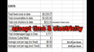 10 year costs raising chickens for eggs cheaper than store bought?