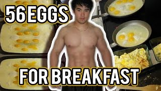 EXPERIMENT 56 EGGS For BREAKFAST