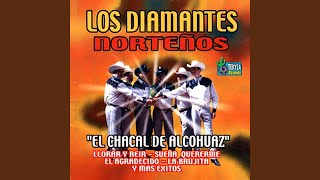 Video thumbnail of "Los Diamantes Norteños - La Brujita"