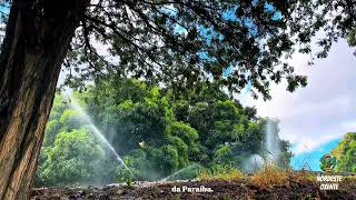 O Rio Que Nunca Seca: A Força das Águas de Coremas no Sertão Paraibano! #coremas #sertão #rio