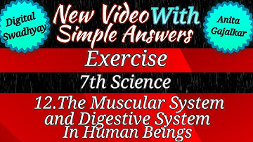 12 the muscular system and digestive system in human beings । 7th science chapter 12 question