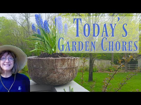 Garden Chores - Is The Work Ever Really Done?