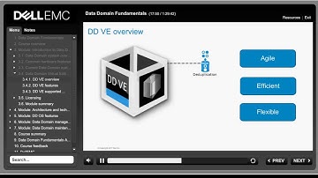 Data Domain Fundamentals