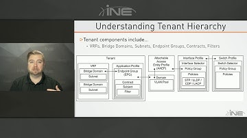 Tenant Overview and Hierarchy