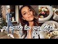 What I Did This Week | Mel Weekly #82