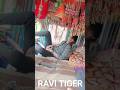 1465 mewat express ravi tiger akbarpur  7496881465 ok