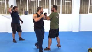 Sidestep and strikes combinations @STORMCombatSystem