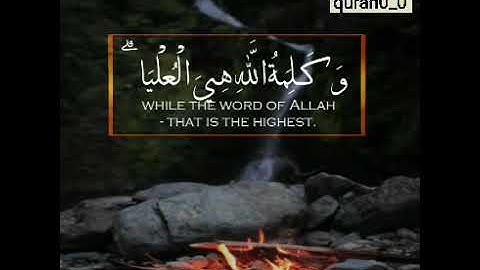 القارئ ادريس ابكر /سورة التوبة/🌺🌺