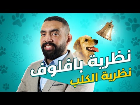 فيديو: ماذا كانت نظرية إيفان بافلوف؟