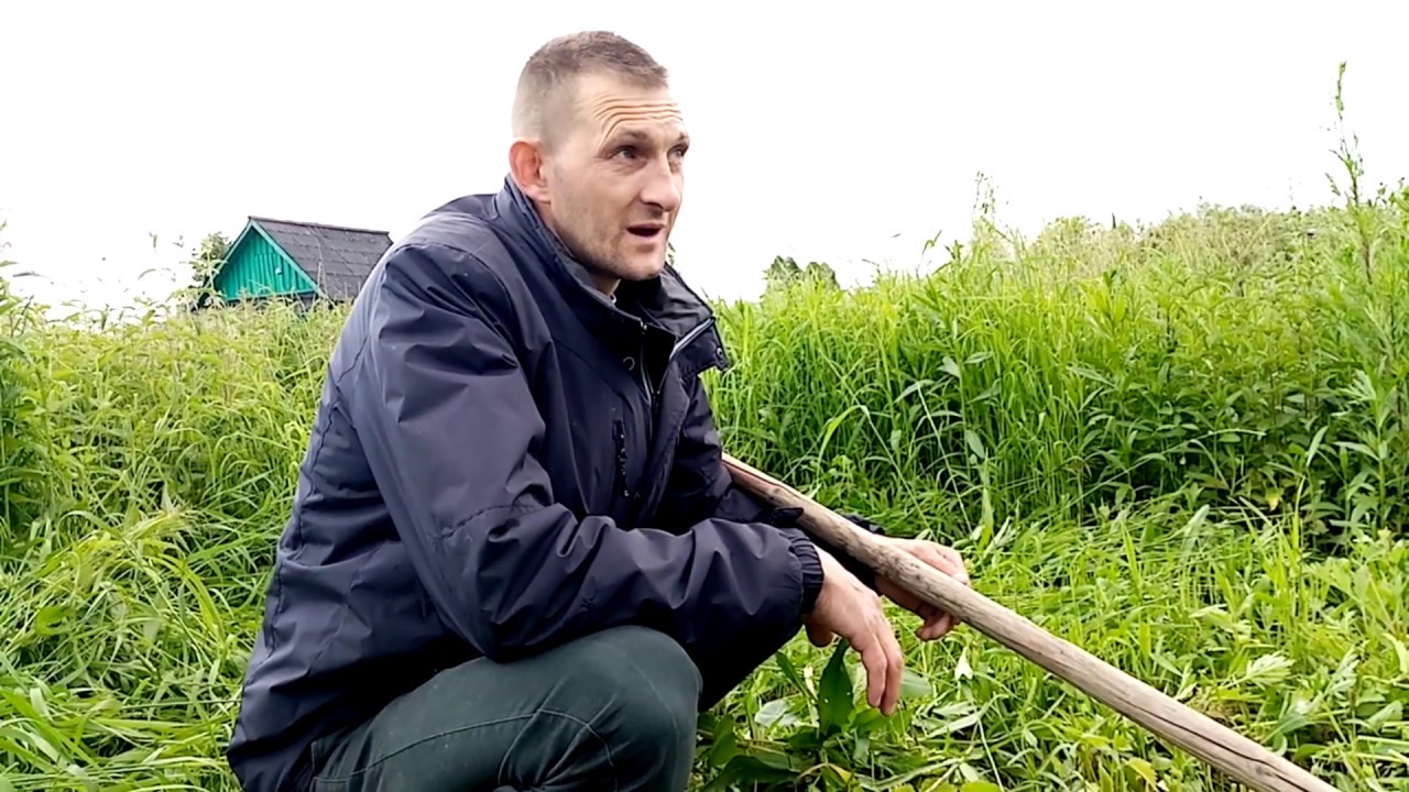 Деревенская жизнь Дмитрий Мусихин. Дмитрий Мусихин жизнь в деревне. Жизнь в деревне Дмитрий Мусихин 2021. Жизнь в деревне с Дмитрием Мусихиным последняя