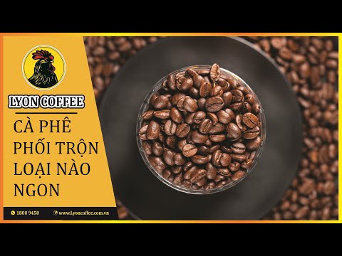 Video: Hạt cà phê nào ngon nhất?