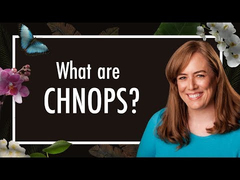 What are CHNOPS? These Chemical Elements = 98% of Life | Biology | Biochemistry