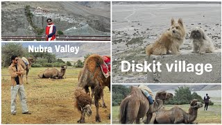 Download Lagu Ladakh Series Part 4 – Exploring Diskit Monastery \u0026 Nubra Valley 🏔️ | Sand Dunes  MP3