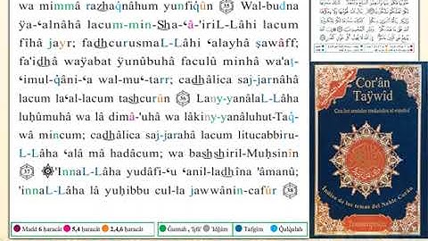 ختمة من مصحف التجويد باللغة الإسبانية الصفحة رقم 336
